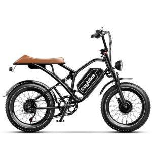 Euybike S4 Pro Max Dual Motor Long Range Moped-Style Electric Bike eBike 1000Wx2 Motors 52V 30Ah